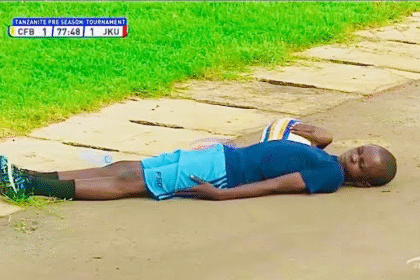 Bees Invade Fotball Match